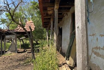 Teren de 4630 mp, în Rădmănești - 9