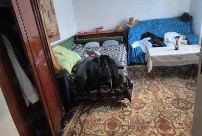 Coiciu - Casa + Teren Coiciu - Casa + Teren - 4