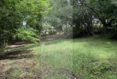 Teren Intravilan 974mp zona Manastirea Doamnei