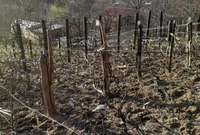 Casă cu 3 camere în Făget - 8