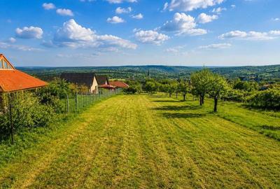 Teren de 1000 mp, în Săldăbagiu de Munte
