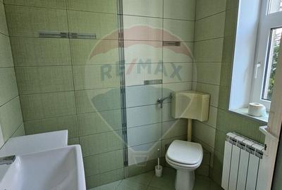 Vila deosebita de vanzare in Chitila, la 150 m de padure, in apropiere - 33