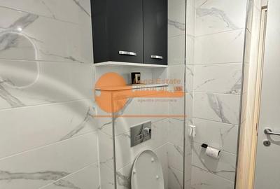 Apartament cu 2 camere decomandat, mobilat în Drumul Taberei - 11