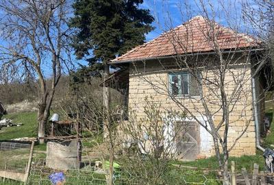 Casă cu 4 camere în Șoimeni - 1