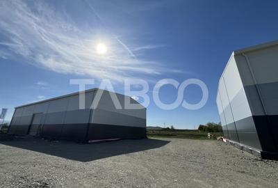 Hala industriala de vanzare 528 mp utili zona Vest a Sibiului - 7