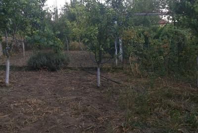 Casă cu 5 camere în Satchinez - 1