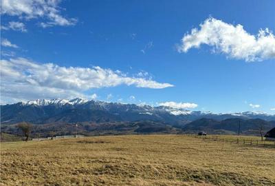 TEREN INTRAVILAN SIRNEA/ 4000 MP/ TEREN INTRAVILAN SIRNEA/ 4000 MP/ - 6