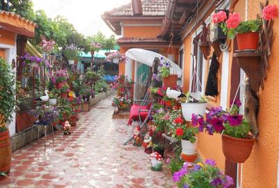 Casă cu 1 camere în Casa de Cultură - 1