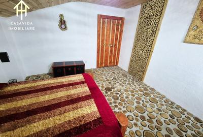 Casă cu Teren 6000 Mp în Sălbăgelu Nou - 13
