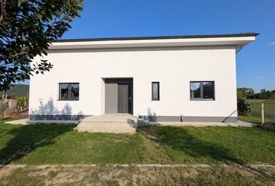 Proprietate mixtă rezidențial + comercial, 1.400 mp teren, Fundătura - 2