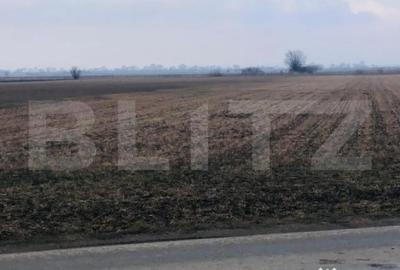 Teren de 30000 mp, în Central - 1