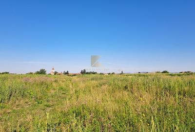 Posibilitate RATE | Teren Bod | curti constructii | utilitati | PUZ, - 12