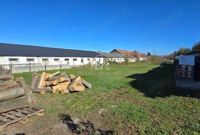 Teren de vanzare, Albesti, Sighisoara - 4