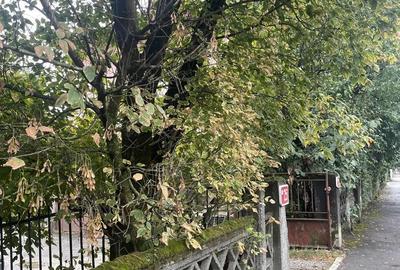 Victoriei 29, vis a vis de Prajiturile Fredy ,garaj de inchiriat, 50 euro luna - 3