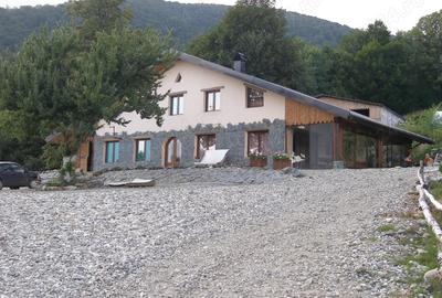 Casă cu 7 camere în Rusca - 8