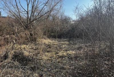 Teren Construcții intravilan de 1746 mp, în Seciu - 3