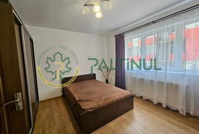 Apartament cu 2 camere decomandat, mobilat în Turnișor - 5