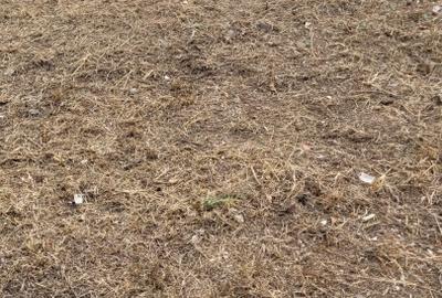 Teren dezvoltare imobiliara Colentina - Maior Bacila - 3