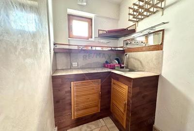 Apartament cu 3 camere semidecomandat în Titulescu - 8