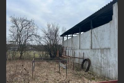 Spațiu industrial, de 82 mp, în Drăguțești - 3