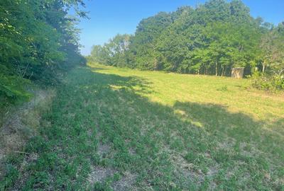 Teren intravilan 4.200 mp Murighiol - 2