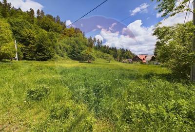 Comision 0%! Proprietate in natura, priveliste superba, S... - 4