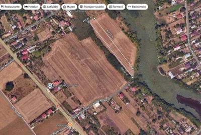 Teren agricol intravilan de 4374 mp, în Frumușani