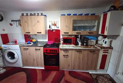 Casă cu 2 camere cu Teren 307 Mp în Criș - 10