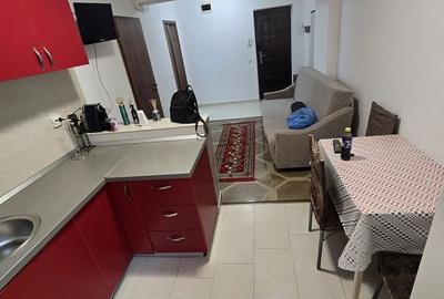 Apartament cu 2 camere decomandat în Făget - 7
