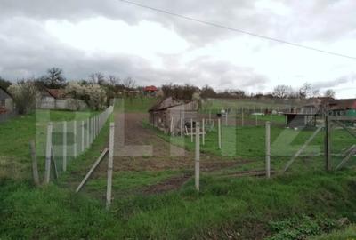 Teren de 3000 mp, în Călărași - 3