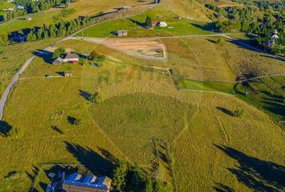 COMISION 0% Teren 19.300 mp/?irnea/ Oportunitate de inve... COMISION 0% Teren 19.300 mp/?irnea/ Oportunitate de inve... - 16