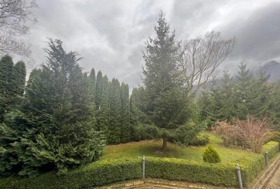 Vila de vis cu parc privat  — Panoramă Unică Spre Crucea Caraiman, - 10