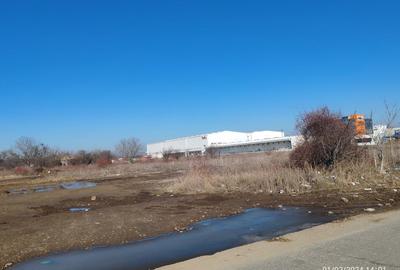 Teren de vanzare in Otopeni - 5.000 mp. Teren de vanzare in Otopeni - 5.000 mp. - 4