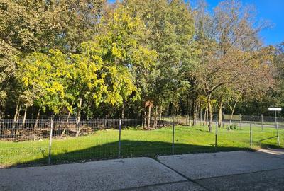 Teren în Ferdinand - 4