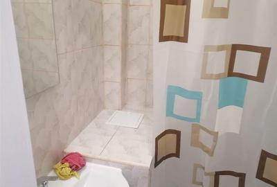 Apartament cu 1 camera recent renovat etaj 1 zona Buziasului - 12