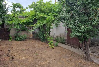 Casă individuală cu 3 camere cu Canalizare în Viile Noi - 5