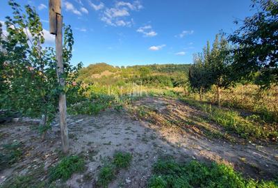 Casa cu o suprafata totala 1927 Mp, Seleus, Danes - 13