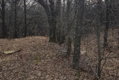 Teren de 3370 mp, în Moșoaia - 7