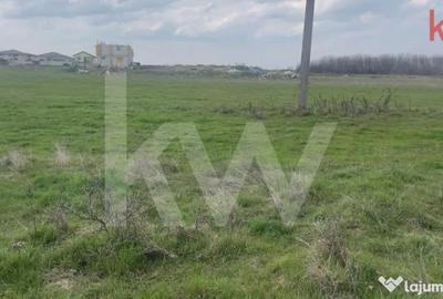 Teren în Cârcea - 2