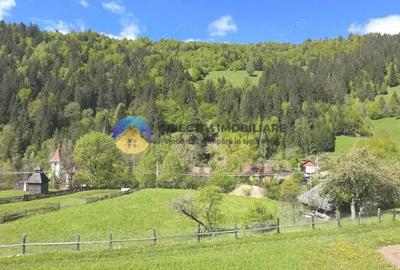 Casă cu 3 camere cu Teren 3302 Mp în Telec - 12