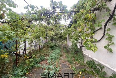 Casa 3 camere ?i gradina - 2