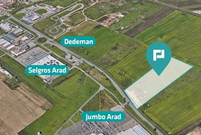 Teren agricol extravilan de 55340 mp, în Micălaca - 3