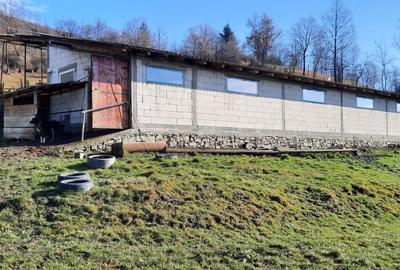 Teren de 15000 mp, în Exterior Vest - 5