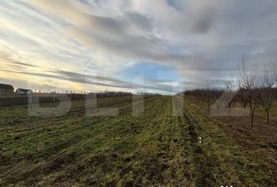 Teren de 3300 mp, în Șimleu Silvaniei - 2