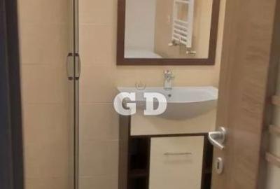 Garsonieră decomandată, mobilată în Turnișor - 8