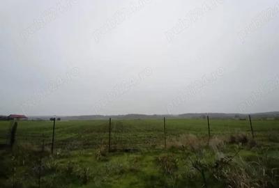 Casă cu 3 camere în Vitănești - 3