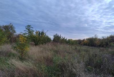 RECO Teren intravilan Miersig RECO Teren intravilan Miersig - 5