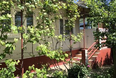 Casă individuală cu 2 camere cu Teren 1350 Mp în Râciu - 8