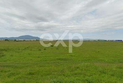 Teren agricol intravilan de 2000 mp, în Bartolomeu - 3