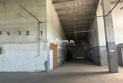 Hala Brintex str.Bazaltului / 5 euro mp - 12